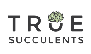 True Succulents Plant Co.