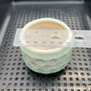 Handmade Stamped Ceramic Succulent Pot Approximately 2”-3”