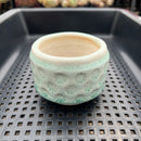 Handmade Stamped Ceramic Succulent Pot Approximately 2”-3”
