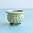 Green Stamped Ceramic Succulent Pot Approximately 2”