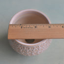 Orange and Beige Handmade Ceramic Succulent Pot Approximately with Flower Design 3" (Toun Kiln Studio)