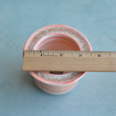 Orange Ceramic Succulent Pot With Crystal Glass Rim Approximately 3"-4"