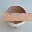 Hand Painted Ceramic Succulent Pot- Animal Eating Watermelon Design and Inlaid Faux Diamonds Approximately 2"-3" (Hongci Studio Korea)