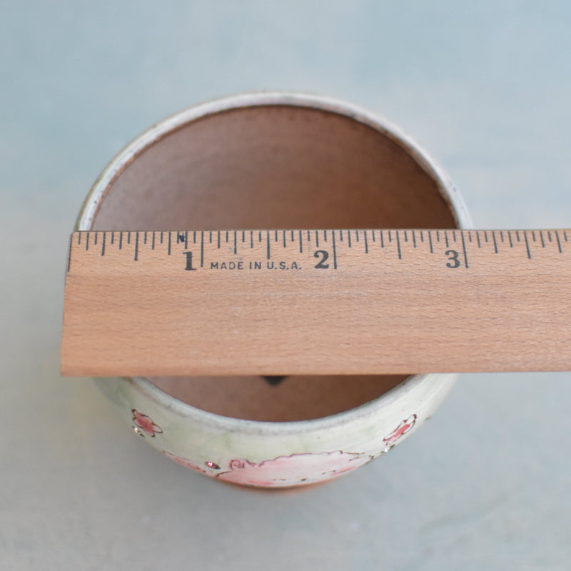Hand Painted Ceramic Succulent Pot- Animal Eating Watermelon Design and Inlaid Faux Diamonds Approximately 2"-3" (Hongci Studio Korea)