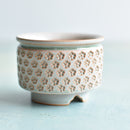 White Handmade Stamped Ceramic Succulent Pot Approximately 2"-3"
