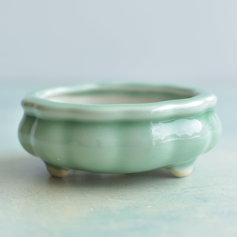 Teal Shallow Ceramic Succulent Pot Approximately 3.5" Wide x 1.5" Tall