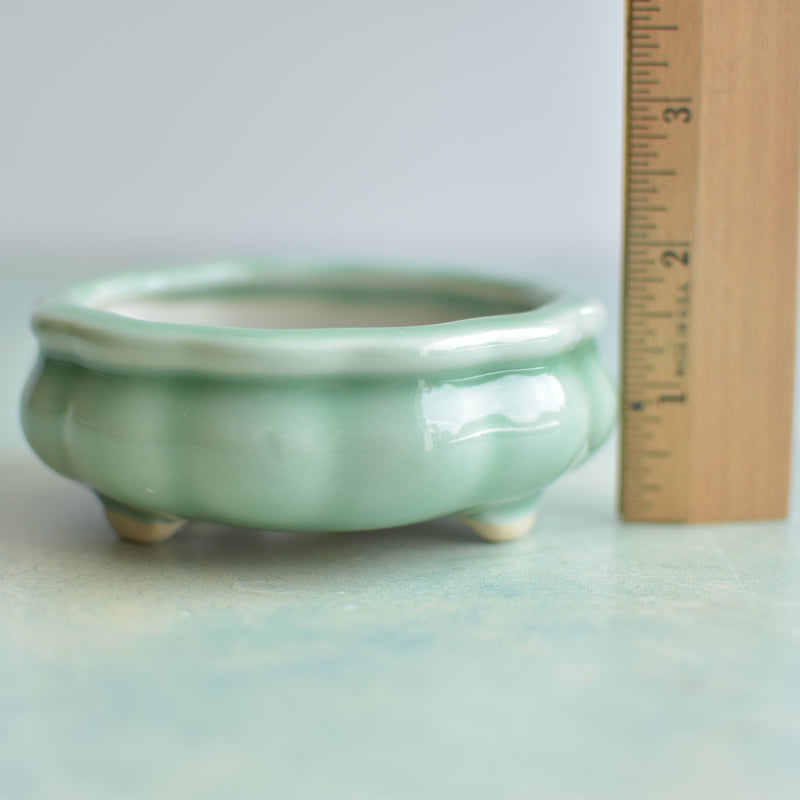 Teal Shallow Ceramic Succulent Pot Approximately 3.5" Wide x 1.5" Tall