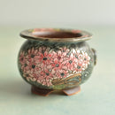 Small ceramic pot with floral design on a light background