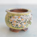 Hand Painted Ceramic Succulent Pot- White Flower Design and Inlaid Faux Diamonds Approximately 2"-3" (Hongci Studio Korea)