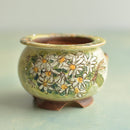 Small ceramic pot with floral design on a light background