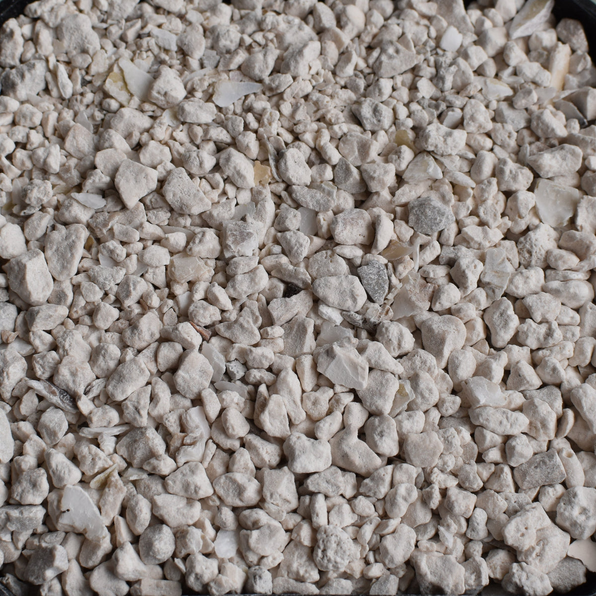 Crushed Oyster Shell – Succulent Top Dressing