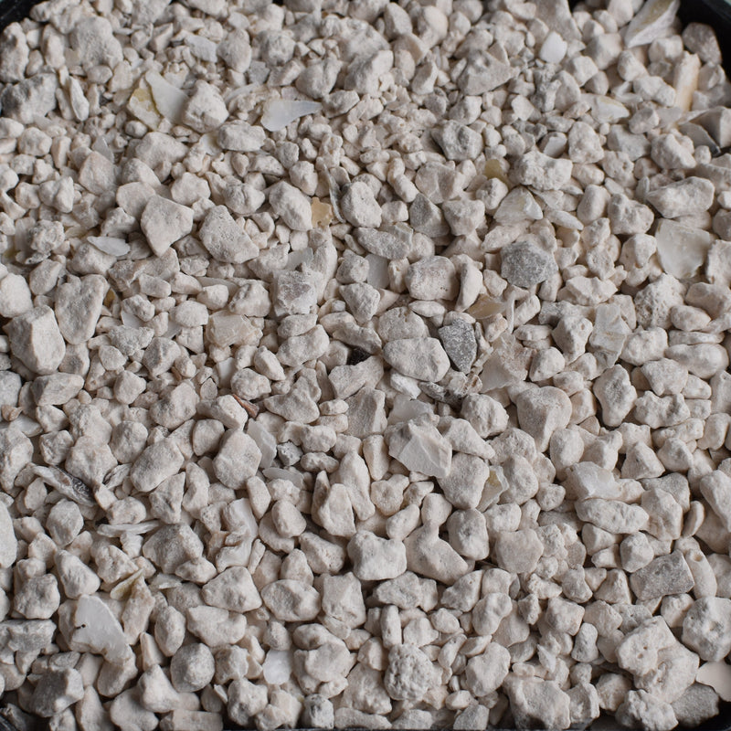 oyster shell for succulents Crushed Oyster Shell – Succulent Top Dressing