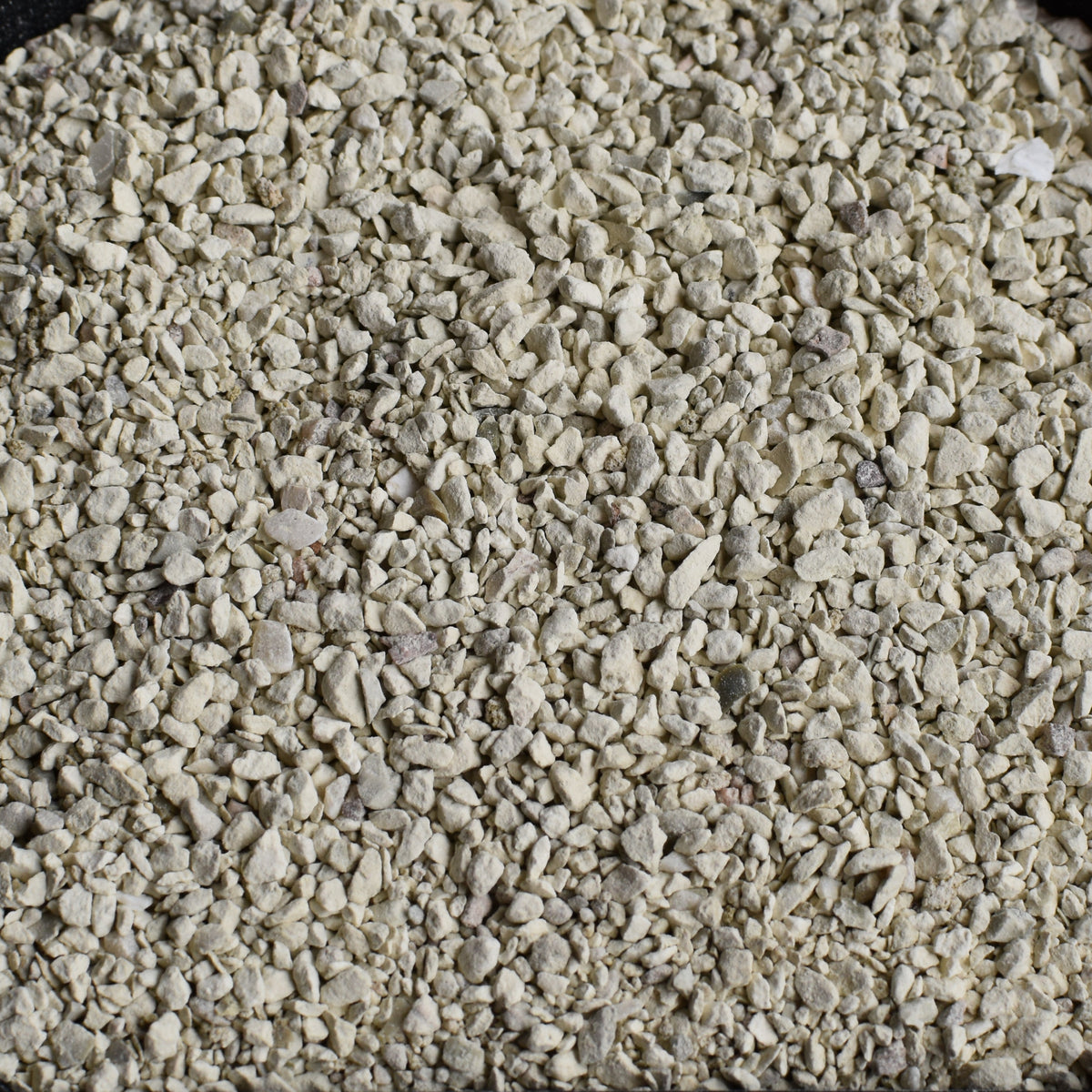 Zeolite – Succulent Top Dressing