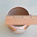 Hand Painted Ceramic Succulent Pot- Sailor Bird Design and Inlaid Faux Diamonds Approximately 2'-3" (Hongci Studio Korea)