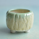 Yellow and Green Crackle Glazed Ceramic Succulent Pot with Grooves Approximately 2.5"