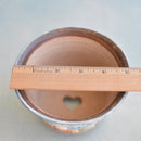 Hand Painted Ceramic Succulent Pot- Dog Driving Carrot Car Design and Inlaid Faux Diamonds Approximately 5" (Hongci Studio Korea)