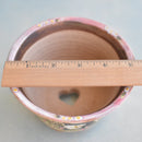 Hand Painted Ceramic Succulent Pot- Panda and Bamboo Design and Inlaid Faux Diamonds Approximately 5" (Hongci Studio Korea)