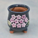 Blue Ceramic Succulent Pot with Purple Flowers Approximately 2"
