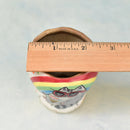 Hand Painted White and Rainbow Ceramic Succulent Pot with Cool Cat Approximately 2"