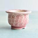 Pink Stamped Ceramic Succulent Pot Approximately 2”