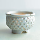 Light Blue Handmade Ceramic Succulent Pot with Flower Stamp Approximately 3" (Toun Kiln Studio)