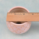 Pink Handmade Ceramic Succulent Pot Approximately 3" (Toun Kiln Studio)