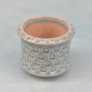 Ceramic Succulent Pot with Stamped Paw Print and Star Design Approximately 2"