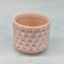 Light Pink Ceramic Succulent Pot with Stamped Paw Print Design Approximately 2"