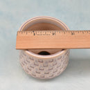 Light Pink Ceramic Succulent Pot with Stamped Paw Print Design Approximately 2"