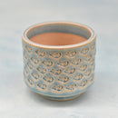 Light Blue Ceramic Succulent Pot with Stamped Panda Bear Design Approximately 2"