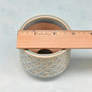 Light Blue Ceramic Succulent Pot with Stamped Panda Bear Design Approximately 2"