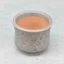 Light Blue Ceramic Succulent Pot with Stamped Holiday Design Approximately 2"