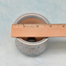 Light Blue Ceramic Succulent Pot with Stamped Holiday Design Approximately 2"