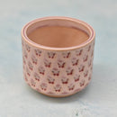 Pink/Red Ceramic Succulent Pot with Stamped Butterfly Design Approximately 2"