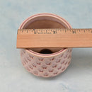 Pink/Red Ceramic Succulent Pot with Stamped Butterfly Design Approximately 2"