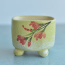 Square Green Handmade Ceramic Succulent Pot with Red Flowers Approximately 3"