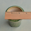 Green Handmade Ceramic Succulent Pot with Flower Design Approximately 2" (Toun Kiln Studio)