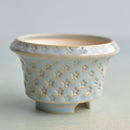 Light Blue Handmade Ceramic Succulent Pot with Flower Stamp Approximately 3" (Toun Kiln Studio)