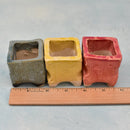 Small Green, Blue and Red Square Ceramic Succulent Pots (Set of Three) Approximately 2"