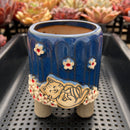 Blue Handmade Ceramic Succulent Pot with Cat and Flowers Approximately 3.5”
