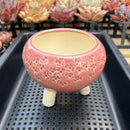 Pink Handmade Ceramic Succulent Pot Flower Stamps Approximately 4”
