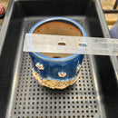 Blue Handmade Ceramic Succulent Pot with Cat and Flowers Approximately 3.5”