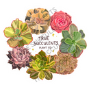True Succulents Wreath Sticker (3.5″ × 3.12″)