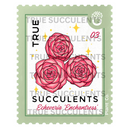 True Succulents Stamp Sticker (1.6″ × 2″)