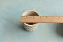 White Handmade Stamped Ceramic Succulent Pot Approximately 2"-3"