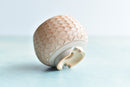 Orange and White Handmade Ceramic Succulent Pot Approximately 2"-3"
