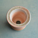 Orange Ceramic Succulent Pot With Crystal Glass Rim Approximately 3”-4"