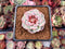 Echeveria 'Red Velvet' 1" Succulent Plant