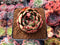 Echeveria Agavoides 'Cherry Fantasy' 2"-3" Succulent Plant