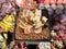 Echeveria 'Pink Madiba' 2" Succulent Plant